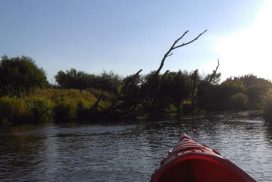 spływ kajakami po rzece Nida w Kielcach