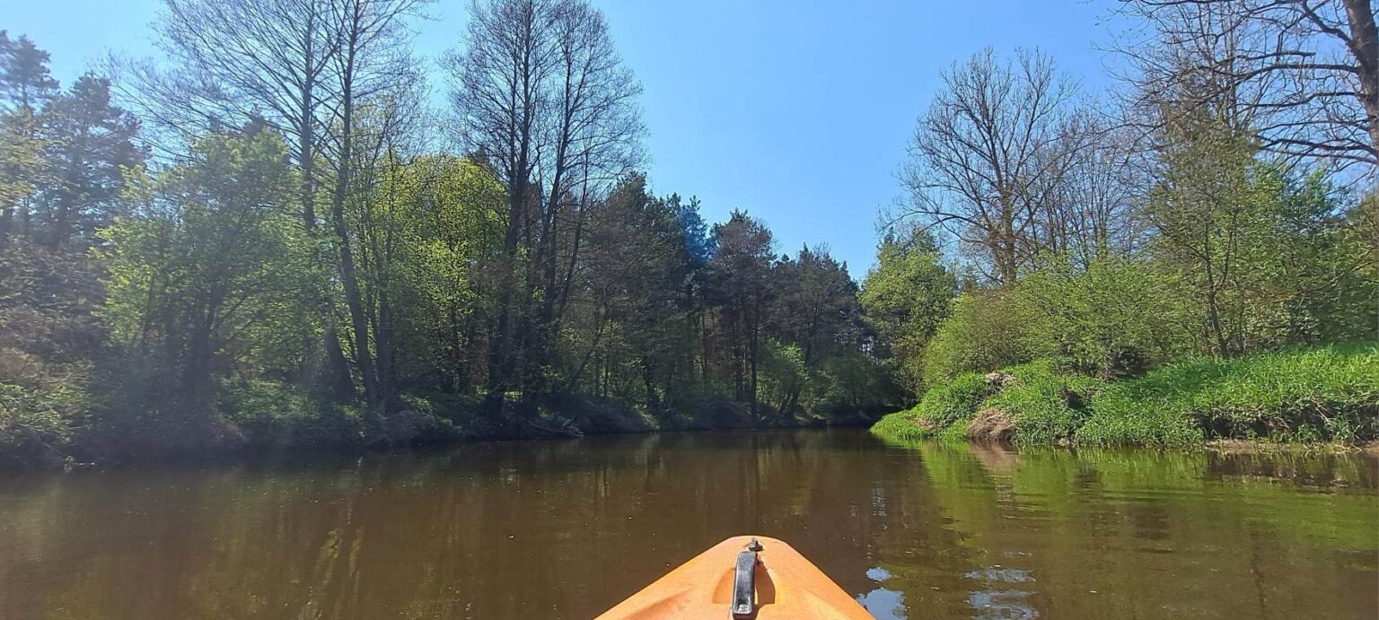 kajak na rzece