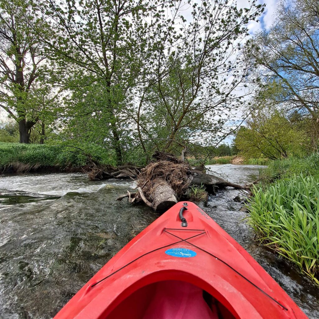 spływ kajakowy - trudna trasa